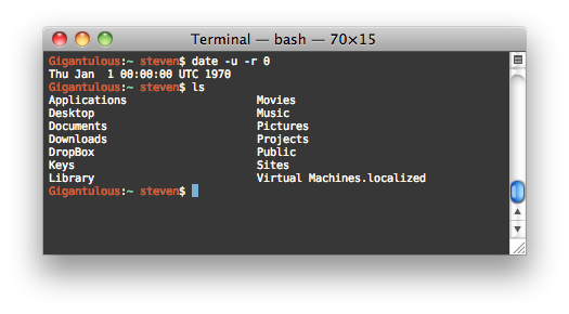 Regular bash terminal